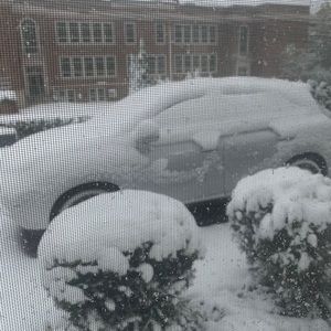 Meet your Posher, Anna